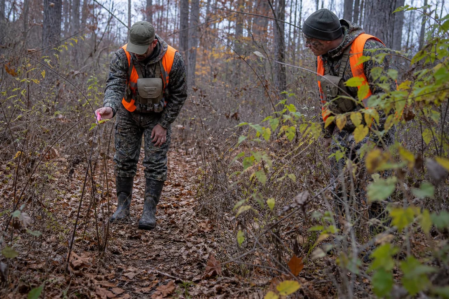 Two hunters carefully examining and marking sparse sign along a woodland trail